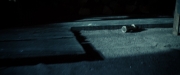 Filename=extant_StarTrekDiscovery_2x02-Eden_02977.jpg
Filesize=105KiB
Dimensions=1920x800
Date added=Dec 08, 2019 extant_StarTrekDiscovery_2x02-Eden_02977.jpg