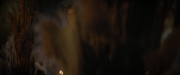 Filename=extant_StarTrekDiscovery_2x02-Eden_03509.jpg
Filesize=85KiB
Dimensions=1920x800
Date added=Dec 08, 2019 extant_StarTrekDiscovery_2x02-Eden_03509.jpg