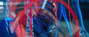 extant_StarTrekDiscovery_2x02-Eden_03971.jpg