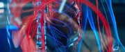 extant_StarTrekDiscovery_2x02-Eden_03972.jpg