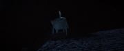 Filename=extant_StarTrekDiscovery_2x02-Eden_04852.jpg
Filesize=91KiB
Dimensions=1920x800
Date added=Dec 08, 2019 extant_StarTrekDiscovery_2x02-Eden_04852.jpg