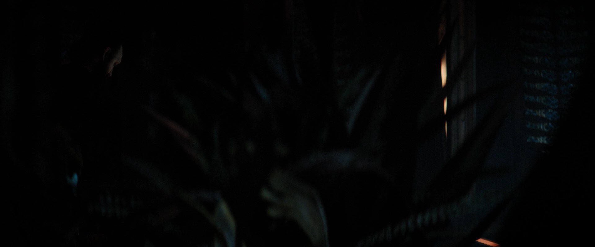 extant_StarTrekDiscovery_2x03-PointOfLight_02740.jpg