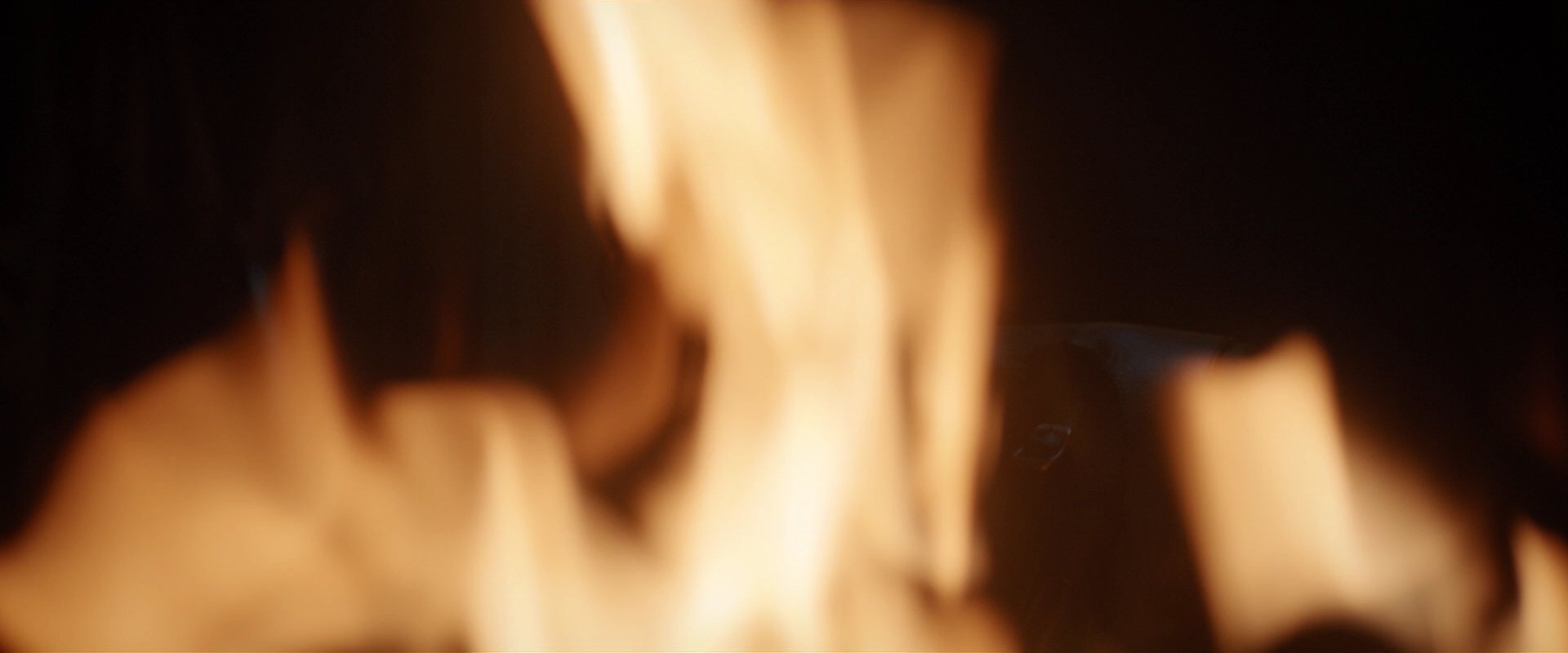 extant_StarTrekDiscovery_2x03-PointOfLight_02947.jpg