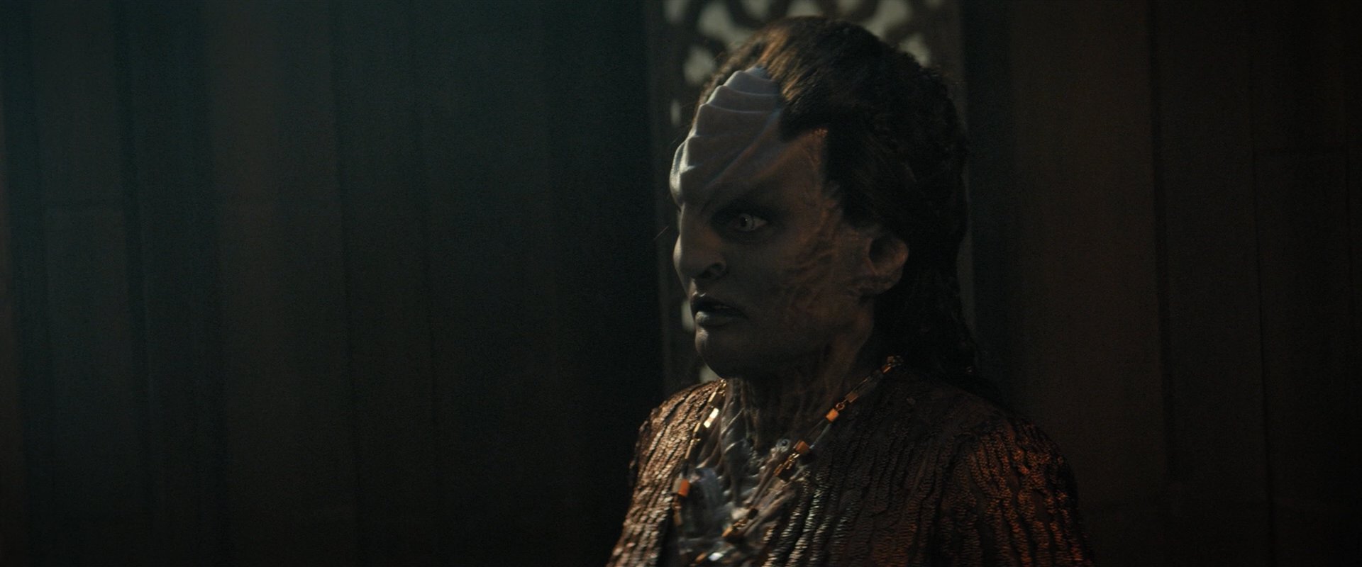 extant_StarTrekDiscovery_2x03-PointOfLight_03814.jpg