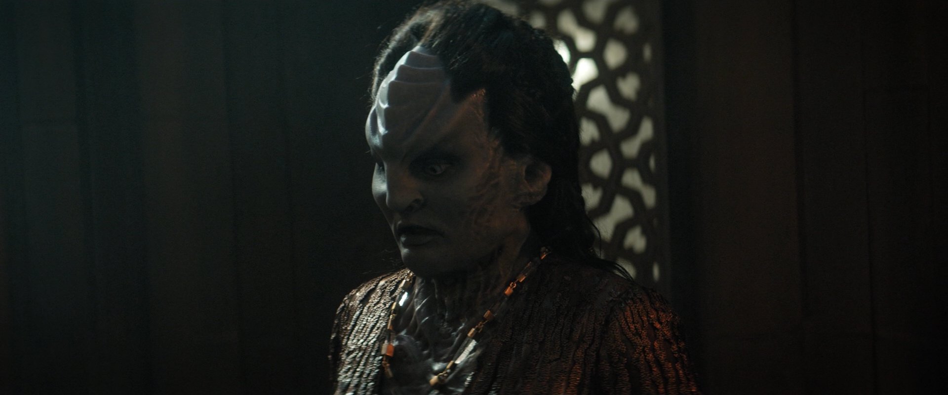 extant_StarTrekDiscovery_2x03-PointOfLight_03817.jpg