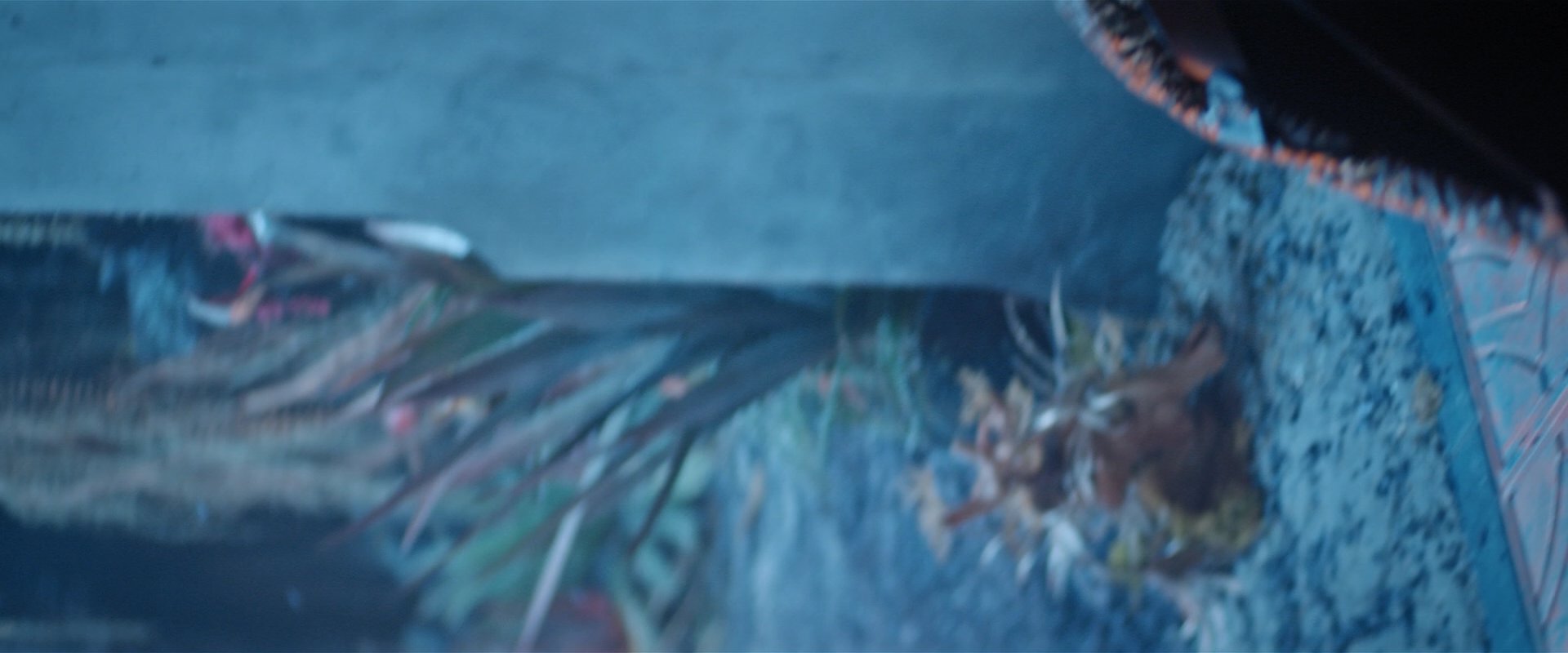 extant_StarTrekDiscovery_2x03-PointOfLight_04249.jpg