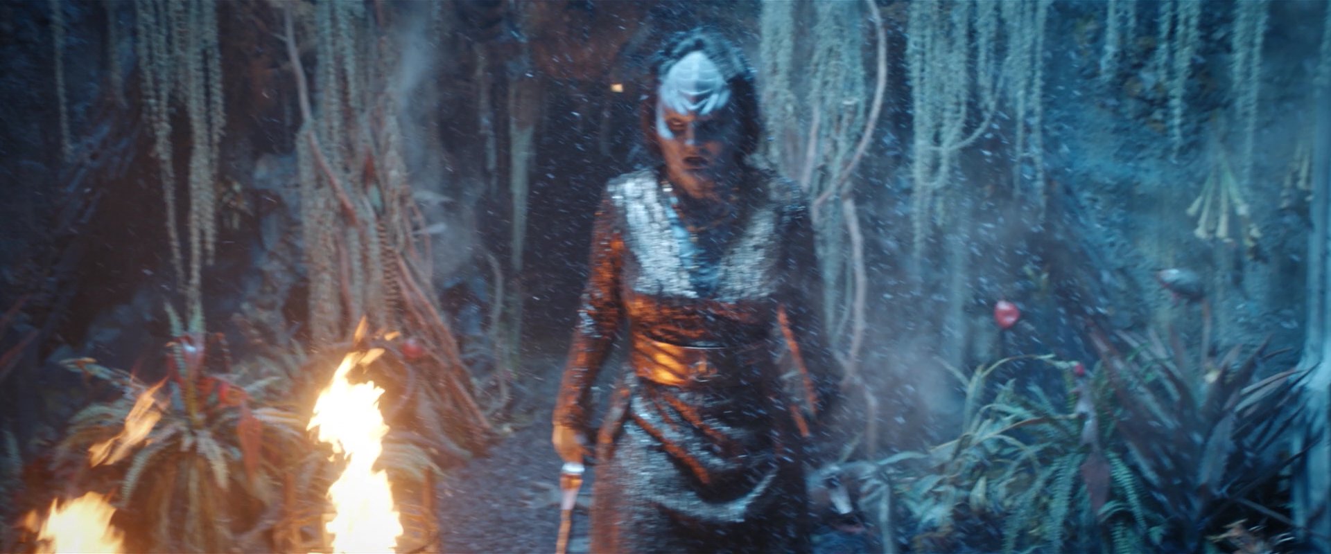 extant_StarTrekDiscovery_2x03-PointOfLight_04479.jpg