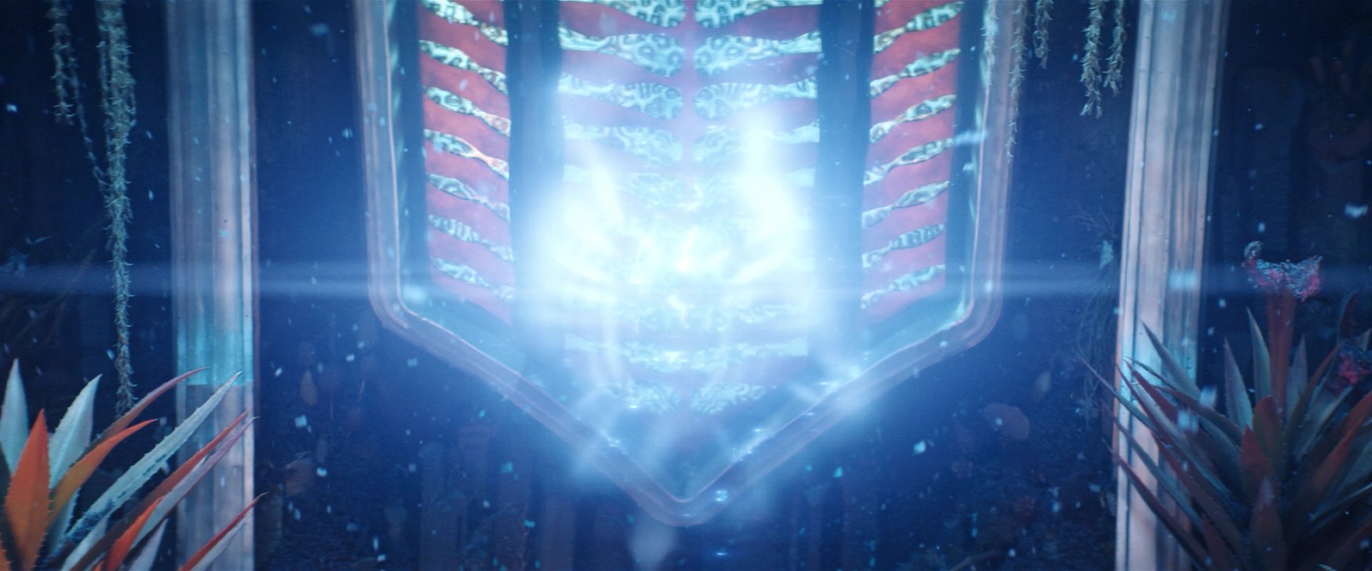 extant_StarTrekDiscovery_2x03-PointOfLight_04638.jpg