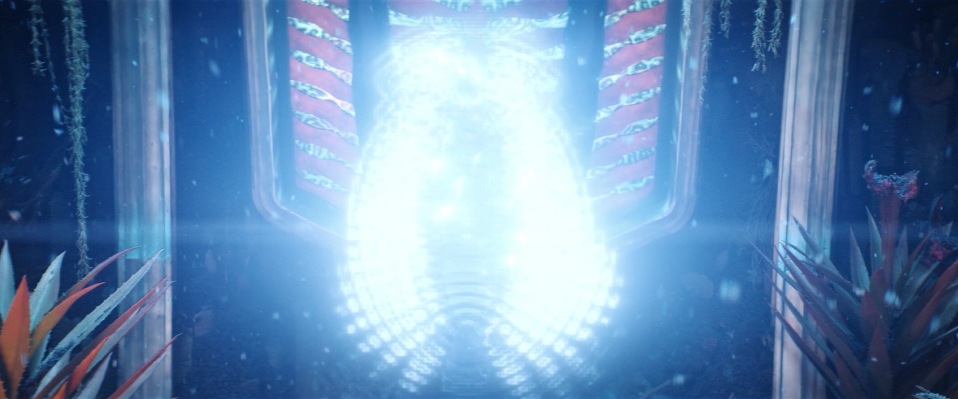 extant_StarTrekDiscovery_2x03-PointOfLight_04639.jpg