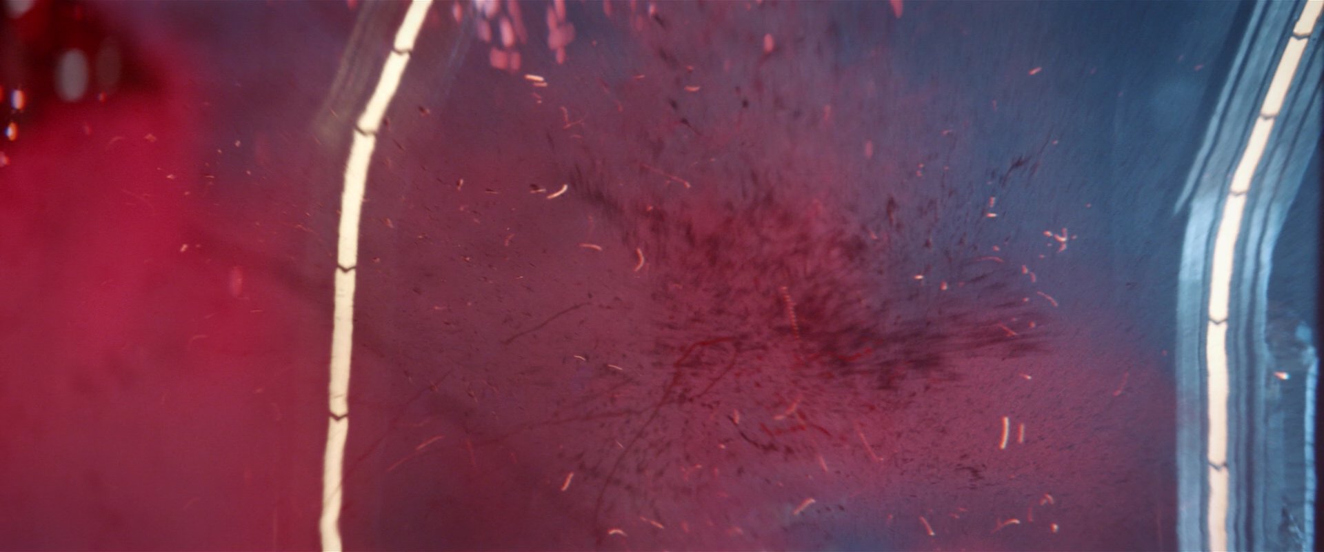 extant_StarTrekDiscovery_2x03-PointOfLight_04646.jpg