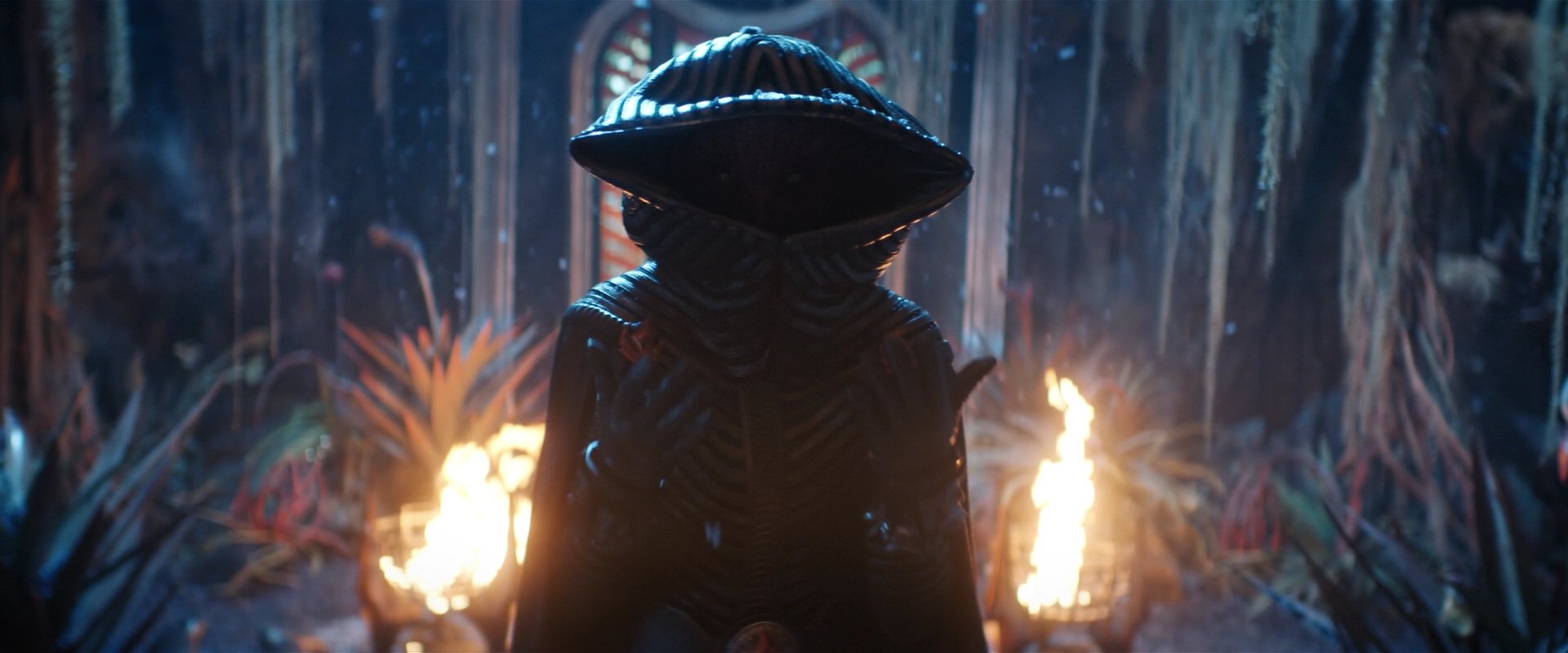 extant_StarTrekDiscovery_2x03-PointOfLight_04693.jpg