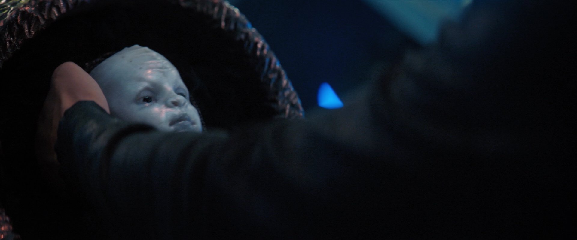 extant_StarTrekDiscovery_2x03-PointOfLight_05652.jpg