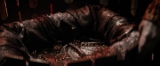 Filename=extant_StarTrekDiscovery_2x03-PointOfLight_03755.jpg
Filesize=146KiB
Dimensions=1920x800
Date added=Dec 08, 2019 extant_StarTrekDiscovery_2x03-PointOfLight_03755.jpg