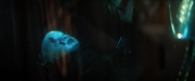 Filename=extant_StarTrekDiscovery_2x03-PointOfLight_03776.jpg
Filesize=110KiB
Dimensions=1920x800
Date added=Dec 08, 2019 extant_StarTrekDiscovery_2x03-PointOfLight_03776.jpg