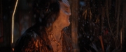 Filename=extant_StarTrekDiscovery_2x03-PointOfLight_04453.jpg
Filesize=134KiB
Dimensions=1920x800
Date added=Dec 08, 2019 extant_StarTrekDiscovery_2x03-PointOfLight_04453.jpg