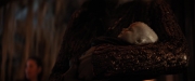 Filename=extant_StarTrekDiscovery_2x03-PointOfLight_04728.jpg
Filesize=111KiB
Dimensions=1920x800
Date added=Dec 08, 2019 extant_StarTrekDiscovery_2x03-PointOfLight_04728.jpg