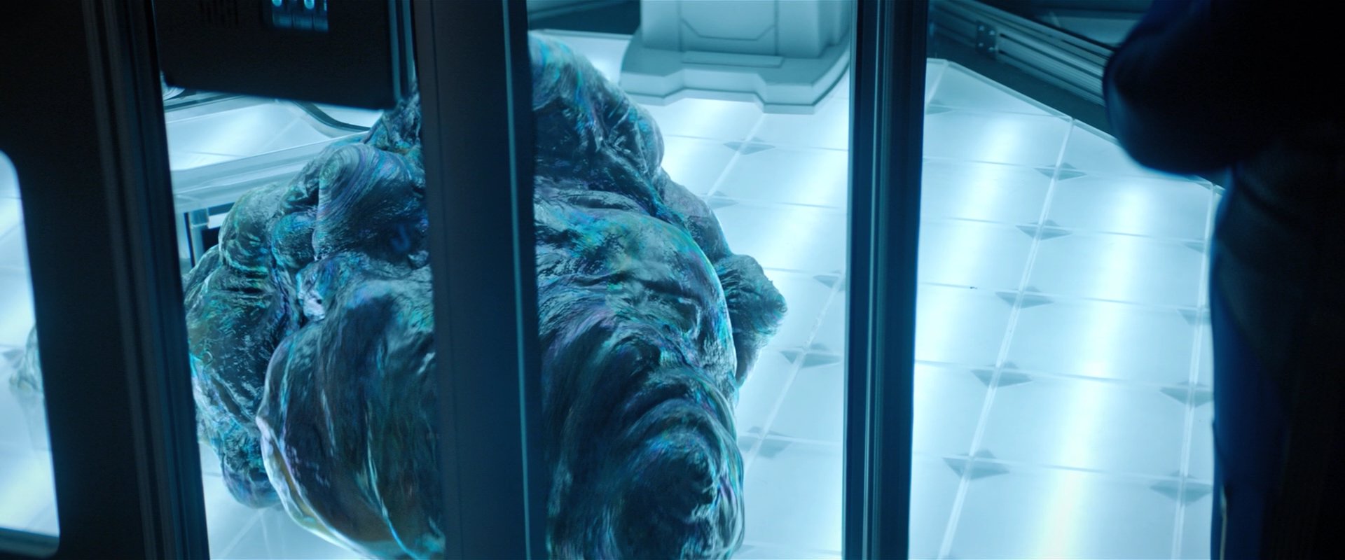 extant_StarTrekDiscovery_2x04-AnObolForCharon_00449.jpg
