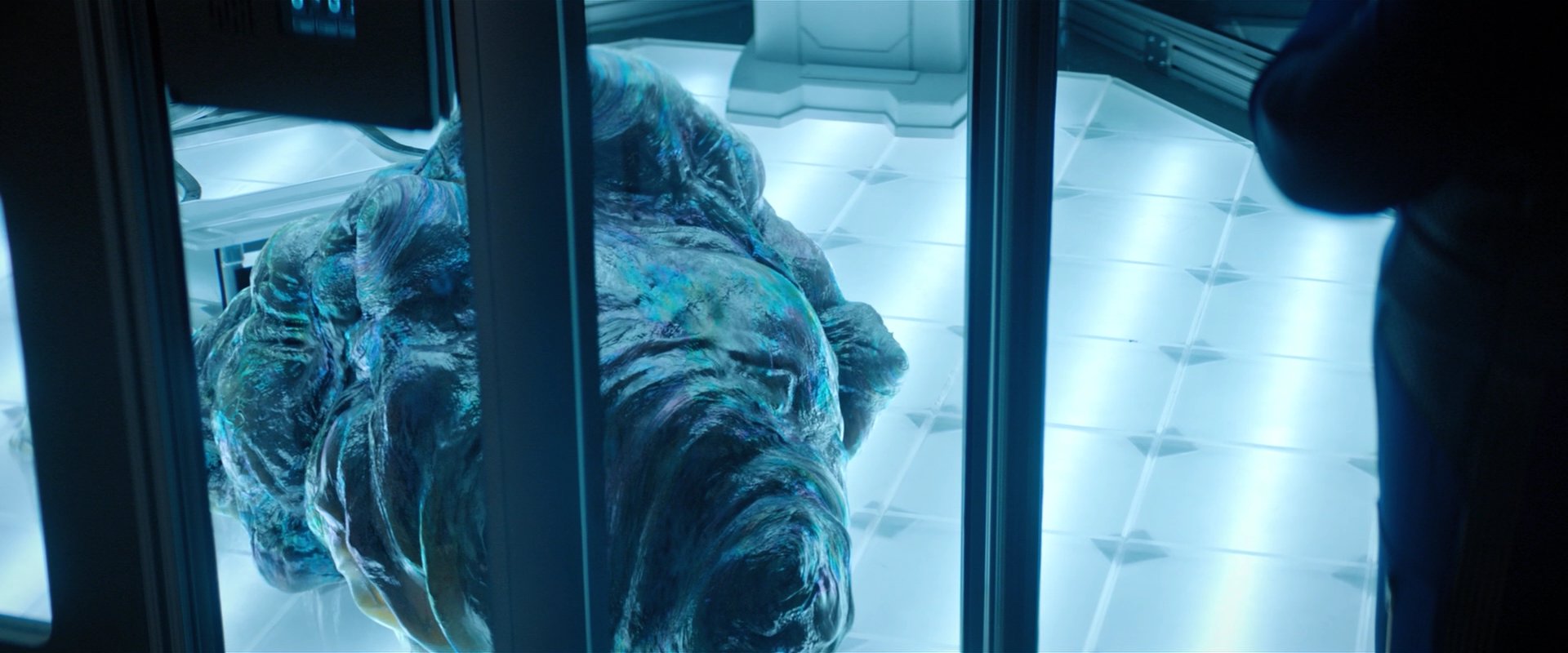 extant_StarTrekDiscovery_2x04-AnObolForCharon_00450.jpg