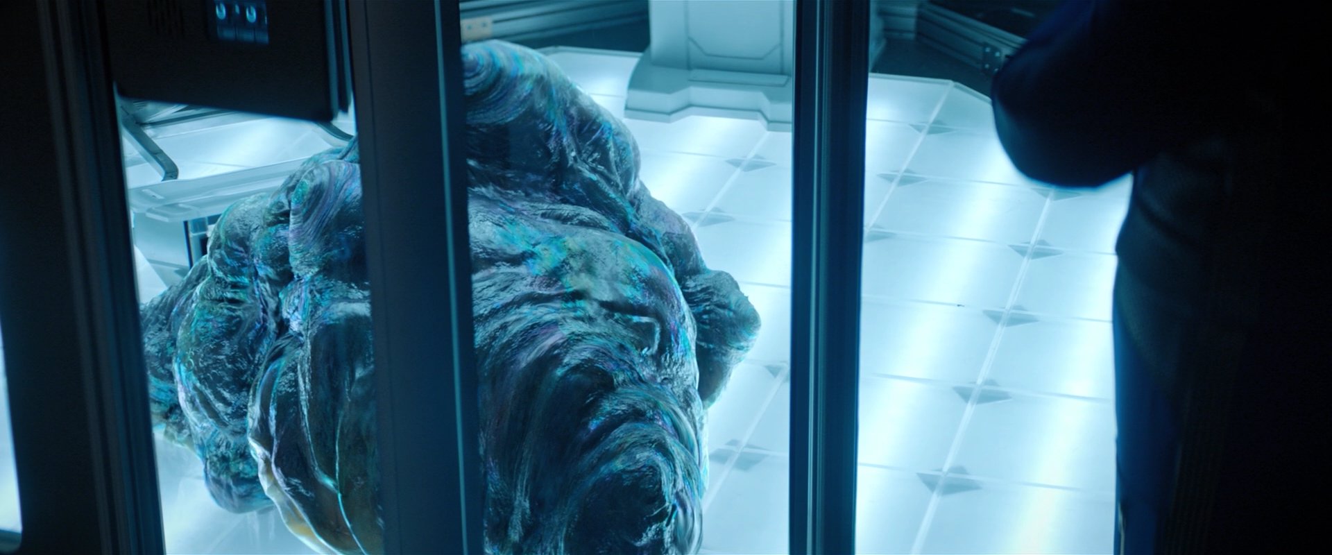 extant_StarTrekDiscovery_2x04-AnObolForCharon_00452.jpg
