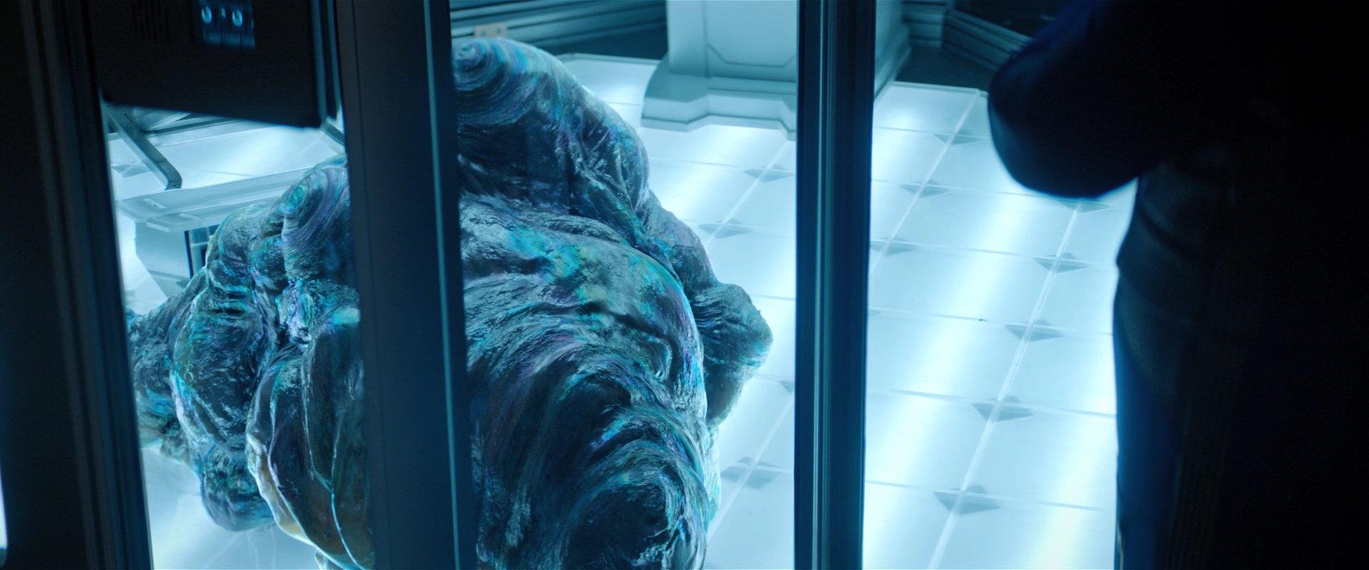 extant_StarTrekDiscovery_2x04-AnObolForCharon_00453.jpg