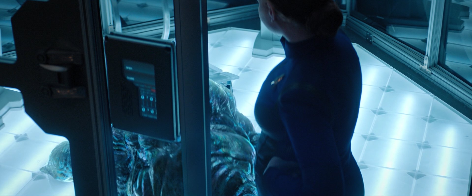 extant_StarTrekDiscovery_2x04-AnObolForCharon_00498.jpg