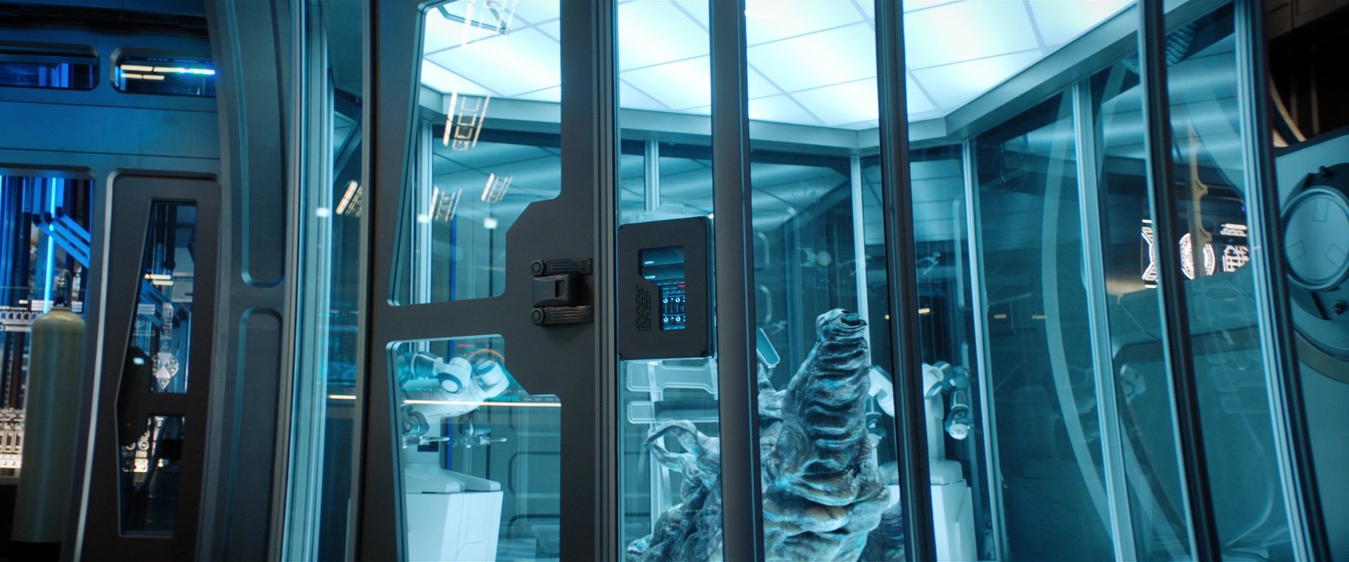 extant_StarTrekDiscovery_2x04-AnObolForCharon_00596.jpg