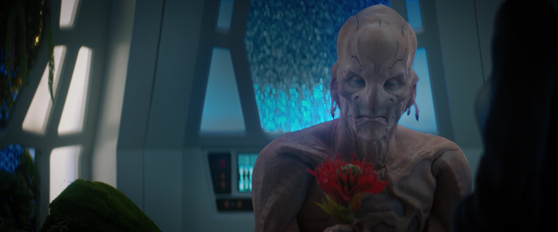 extant_StarTrekDiscovery_2x04-AnObolForCharon_04794.jpg