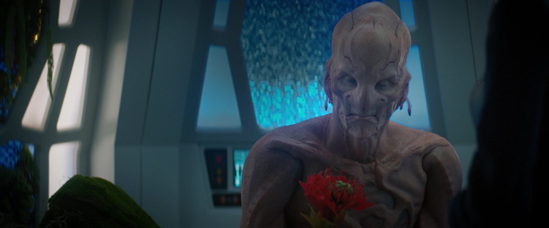 extant_StarTrekDiscovery_2x04-AnObolForCharon_04795.jpg