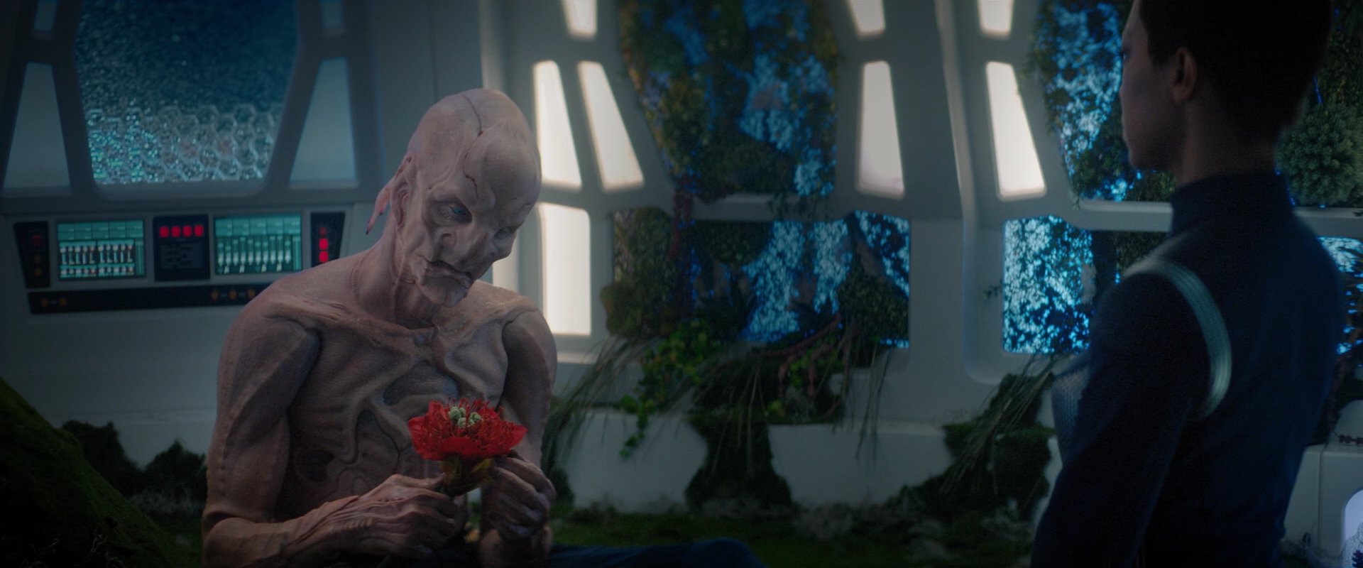 extant_StarTrekDiscovery_2x04-AnObolForCharon_04810.jpg
