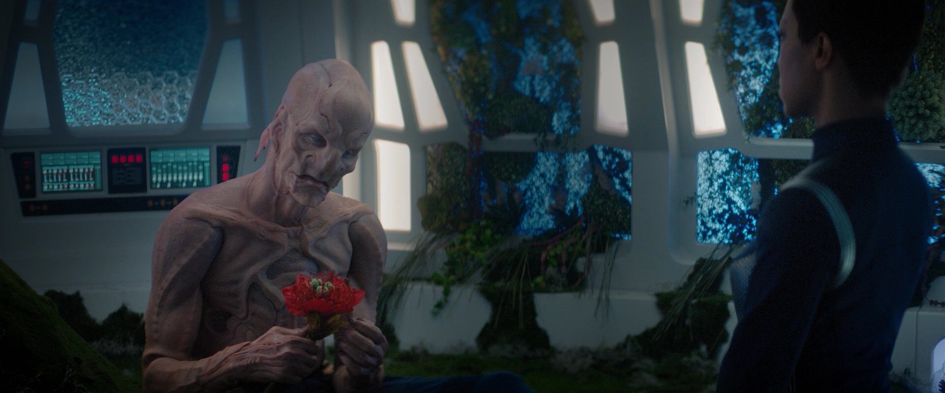 extant_StarTrekDiscovery_2x04-AnObolForCharon_04814.jpg
