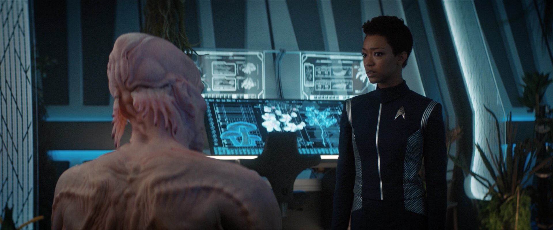 extant_StarTrekDiscovery_2x04-AnObolForCharon_04837.jpg