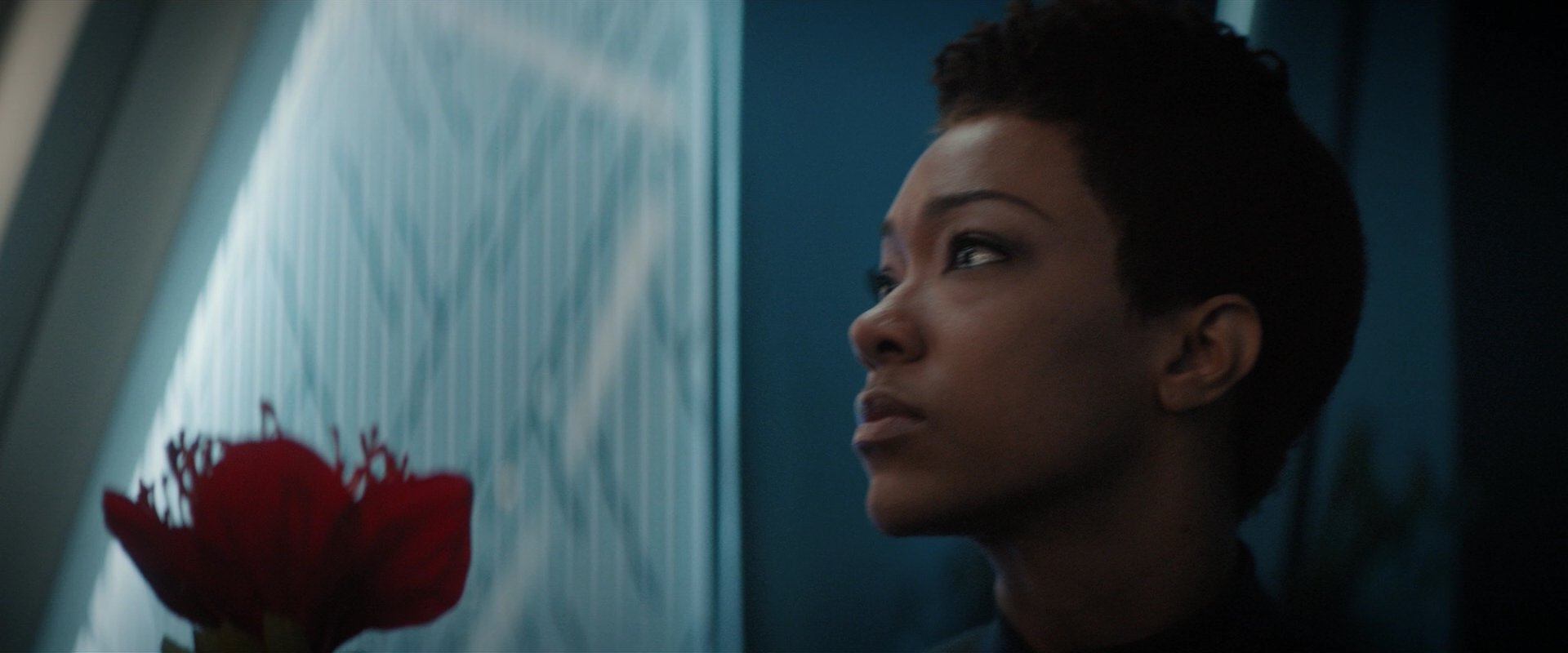 extant_StarTrekDiscovery_2x04-AnObolForCharon_04845.jpg