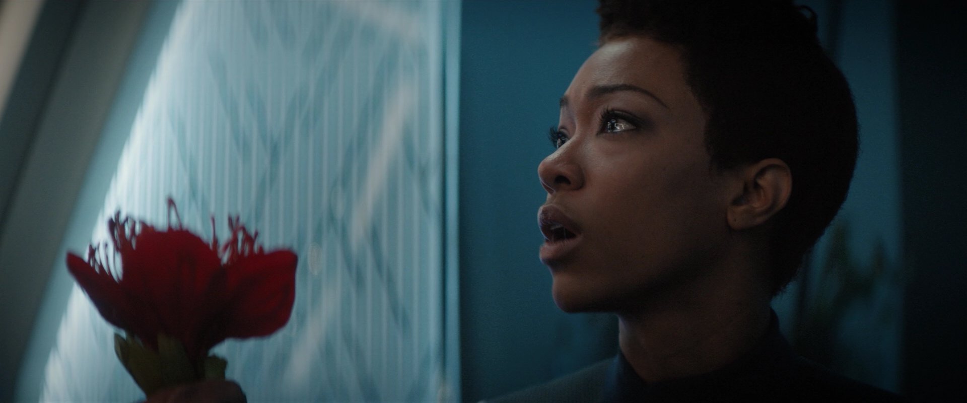 extant_StarTrekDiscovery_2x04-AnObolForCharon_04848.jpg