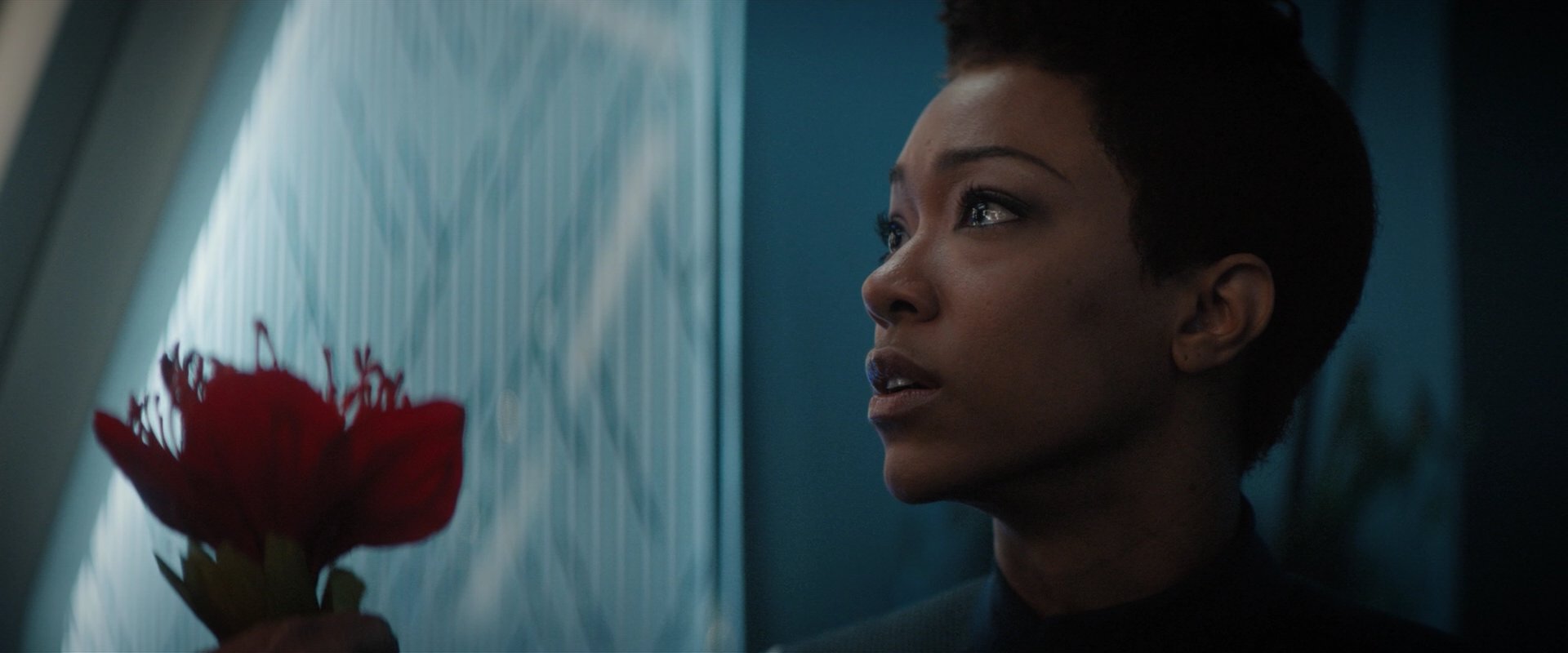 extant_StarTrekDiscovery_2x04-AnObolForCharon_04849.jpg