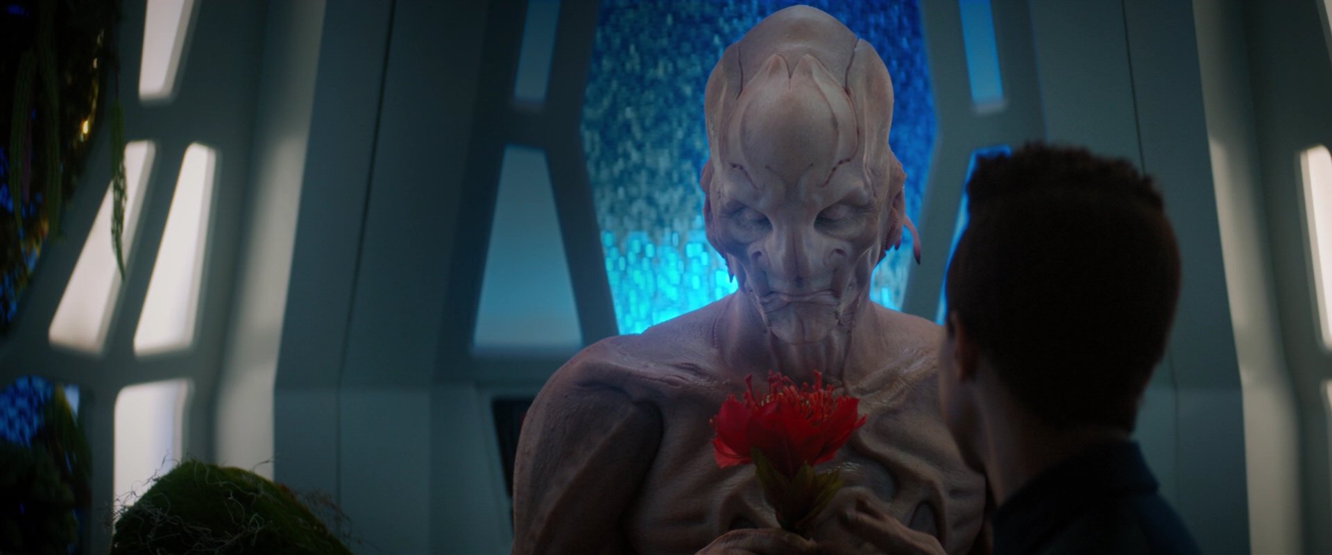 extant_StarTrekDiscovery_2x04-AnObolForCharon_04873.jpg