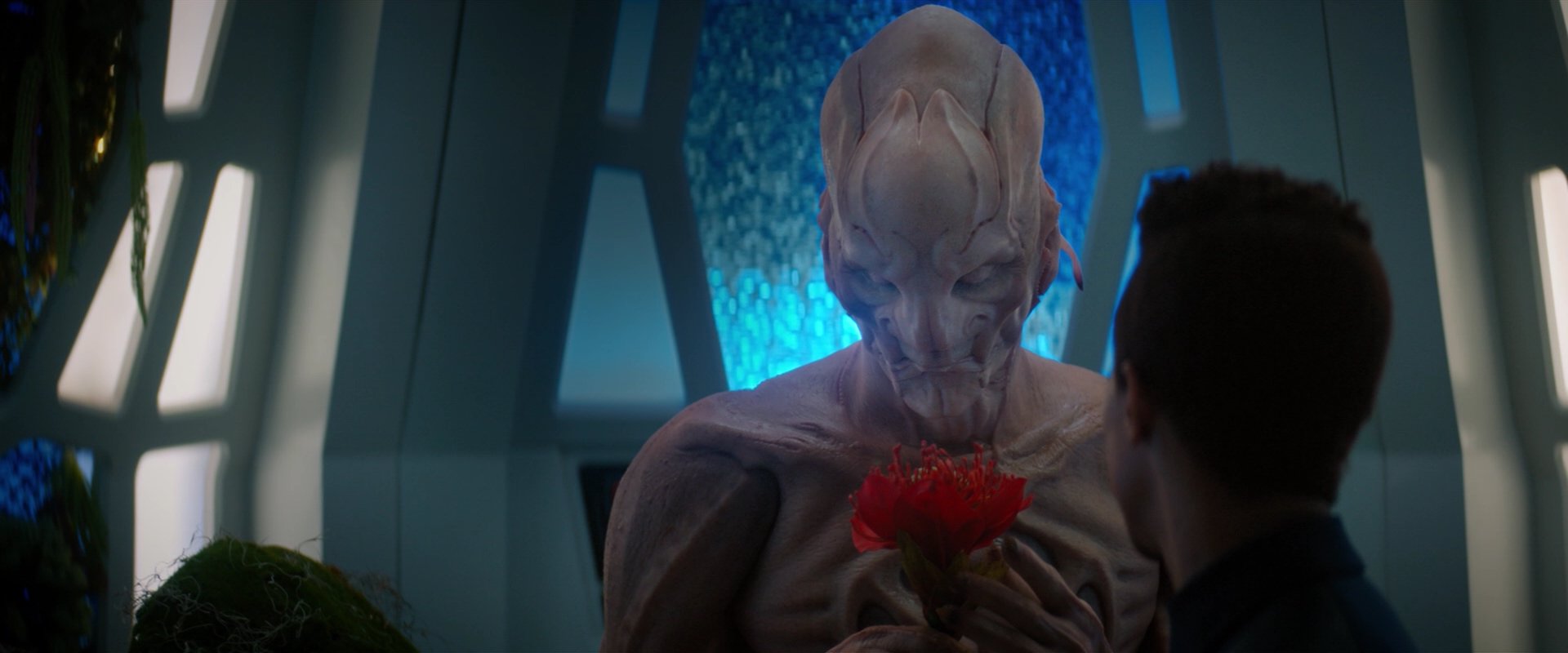 extant_StarTrekDiscovery_2x04-AnObolForCharon_04874.jpg
