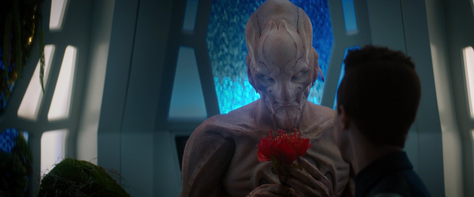 extant_StarTrekDiscovery_2x04-AnObolForCharon_04877.jpg