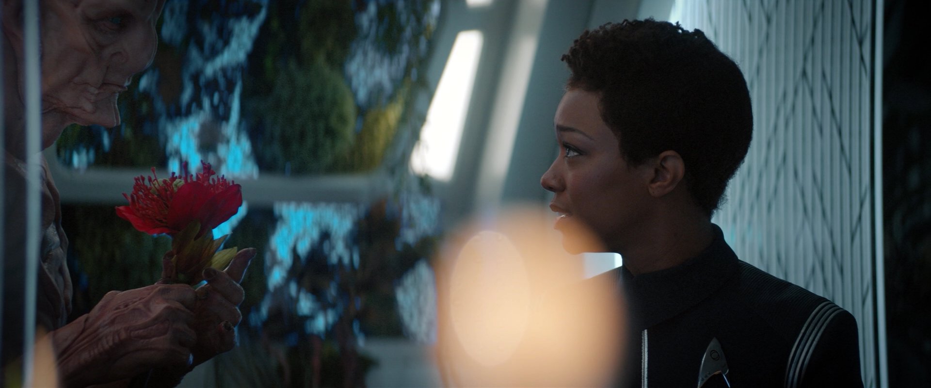 extant_StarTrekDiscovery_2x04-AnObolForCharon_04882.jpg