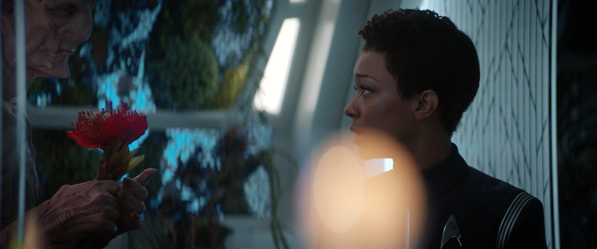 extant_StarTrekDiscovery_2x04-AnObolForCharon_04883.jpg