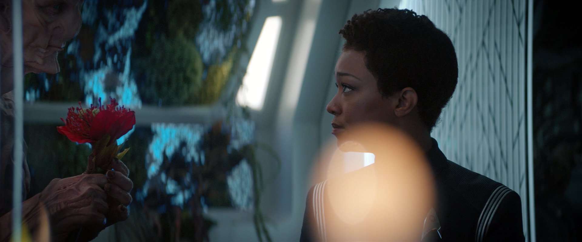 extant_StarTrekDiscovery_2x04-AnObolForCharon_04884.jpg