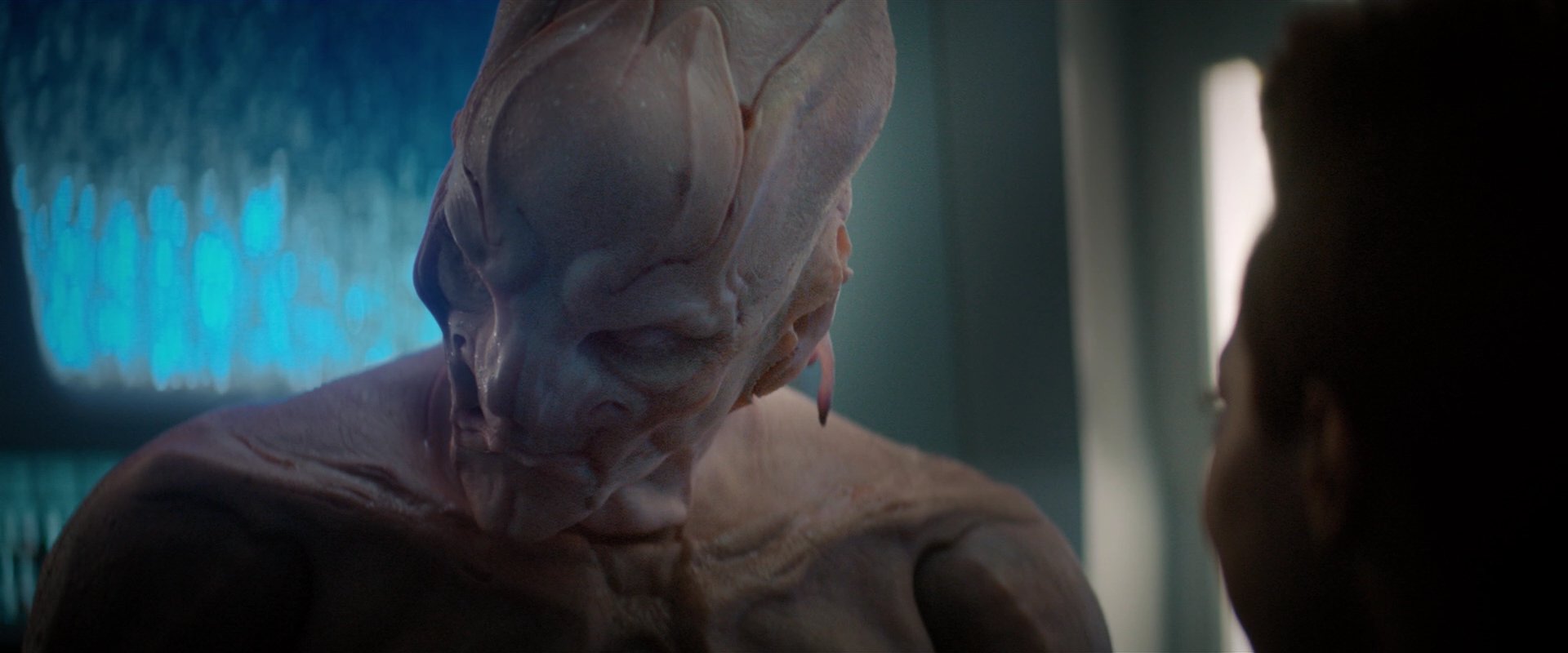 extant_StarTrekDiscovery_2x04-AnObolForCharon_04889.jpg