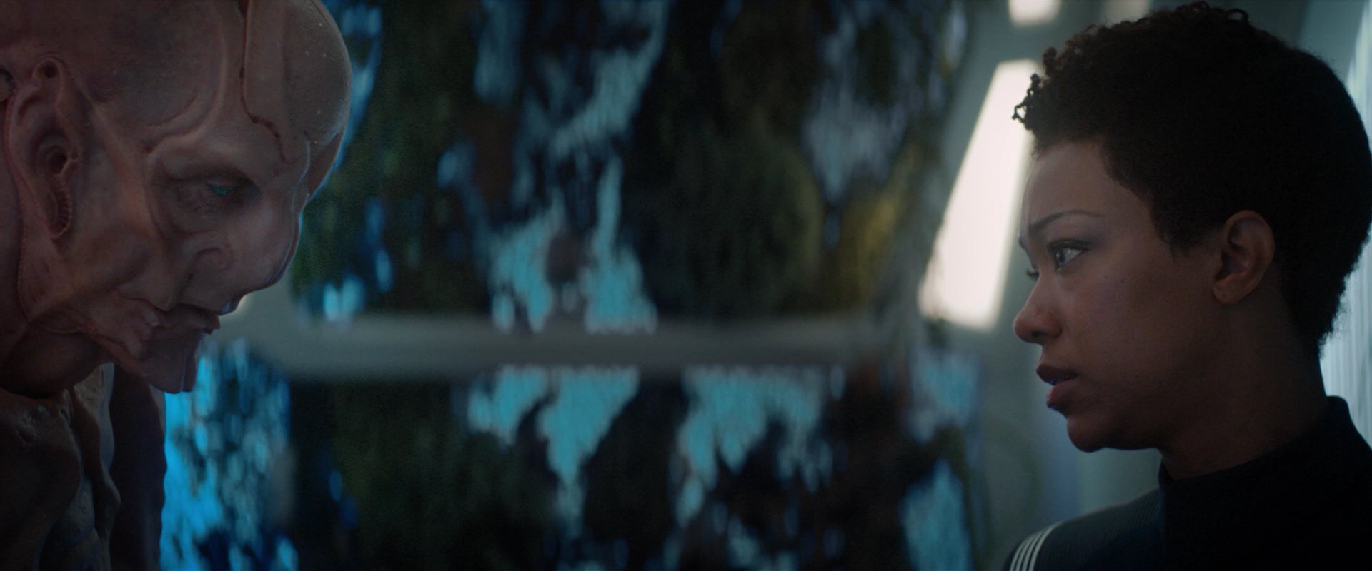 extant_StarTrekDiscovery_2x04-AnObolForCharon_04902.jpg