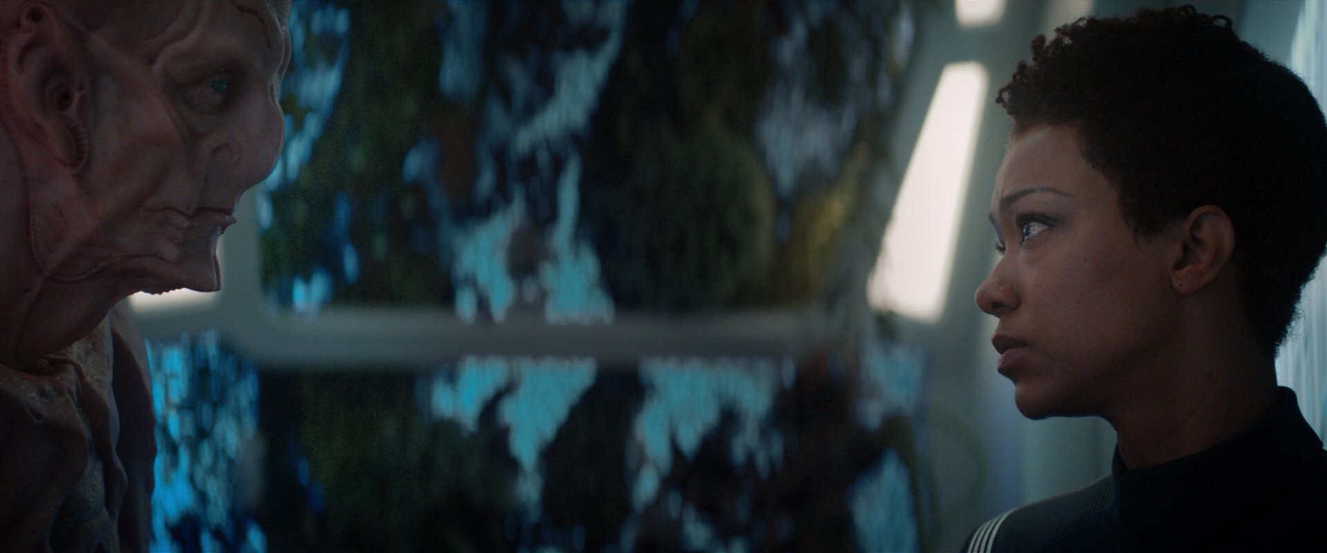 extant_StarTrekDiscovery_2x04-AnObolForCharon_04906.jpg