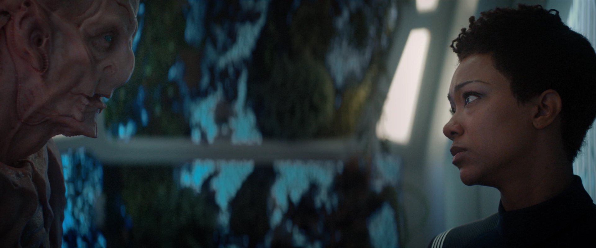 extant_StarTrekDiscovery_2x04-AnObolForCharon_04910.jpg