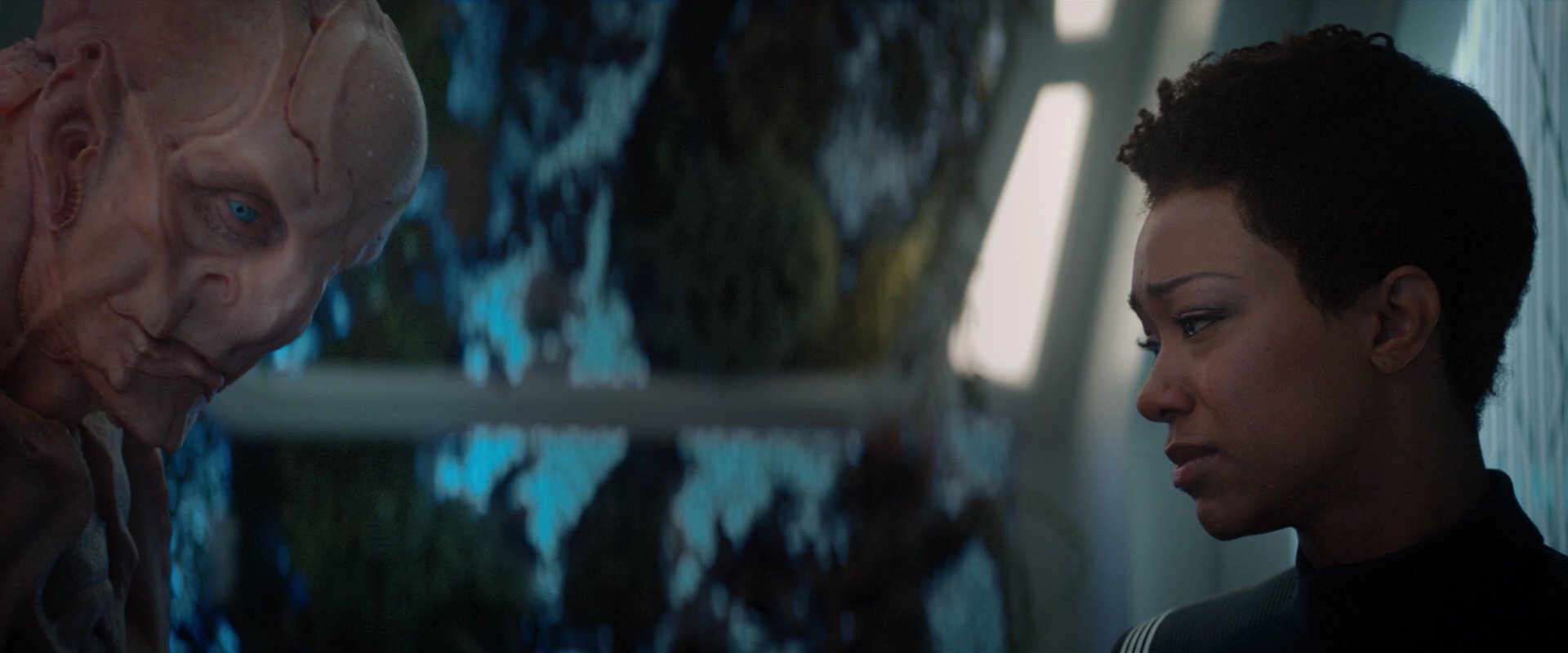 extant_StarTrekDiscovery_2x04-AnObolForCharon_04918.jpg