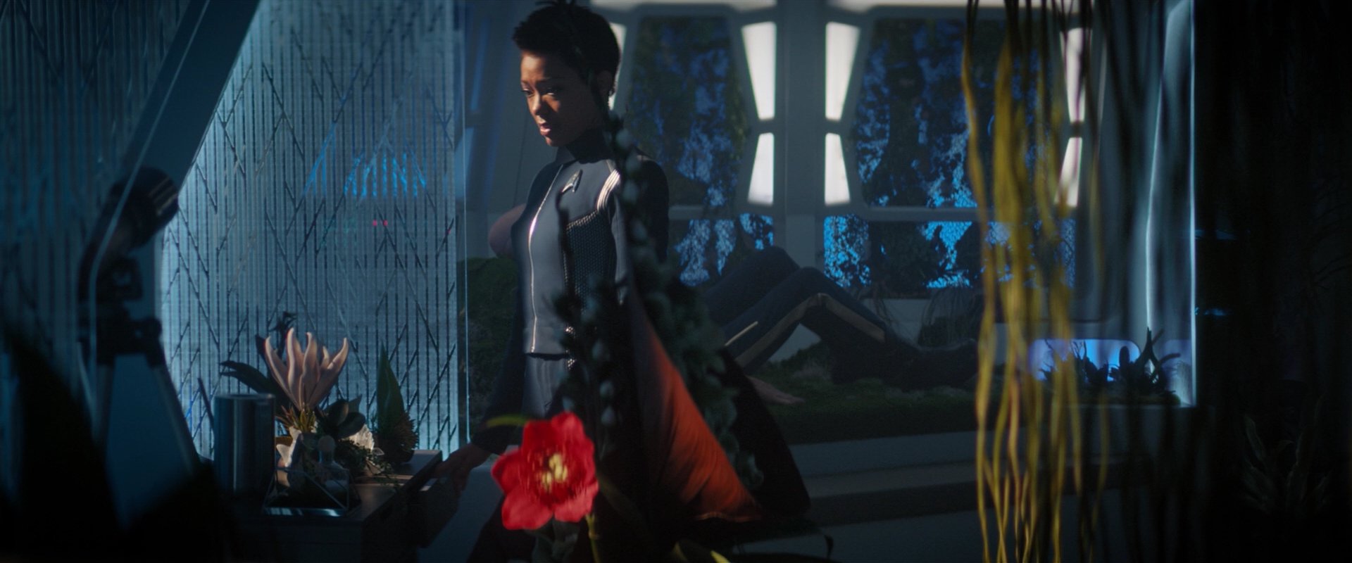 extant_StarTrekDiscovery_2x04-AnObolForCharon_04954.jpg