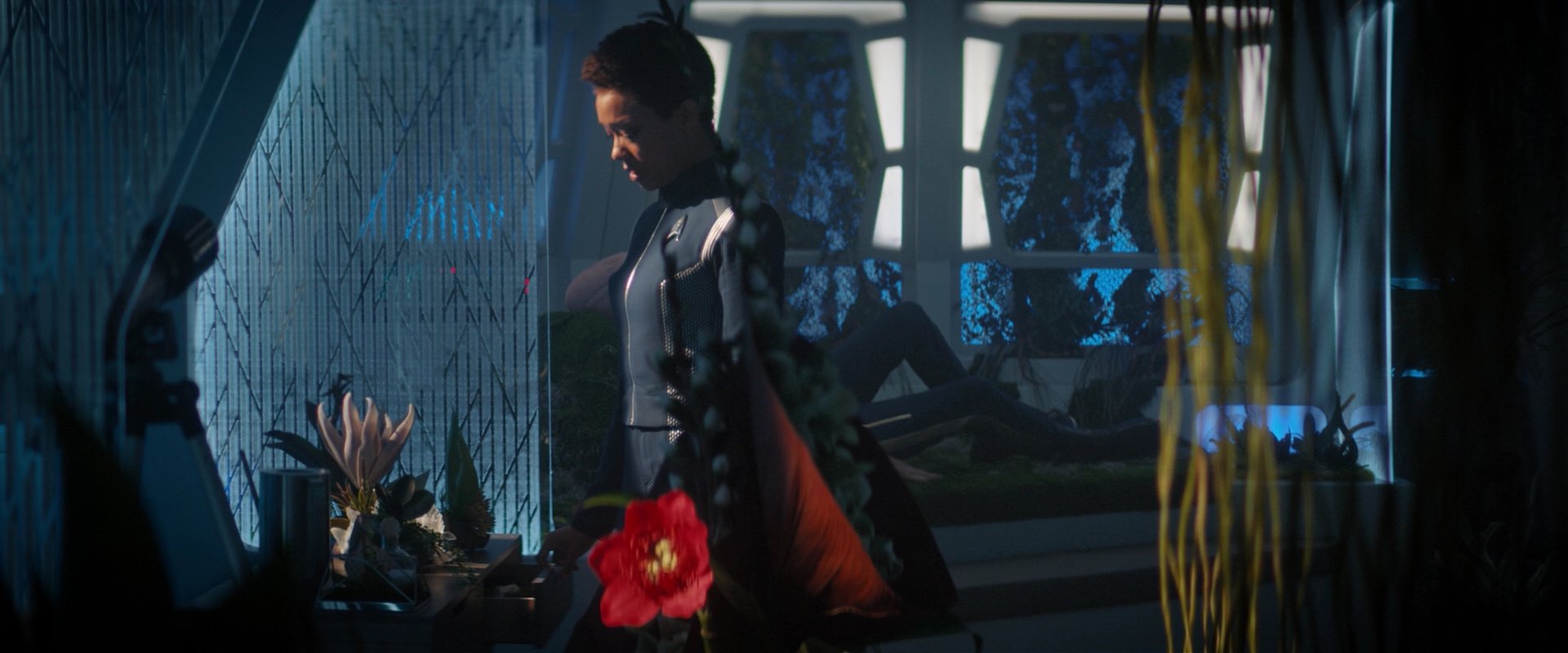 extant_StarTrekDiscovery_2x04-AnObolForCharon_04956.jpg