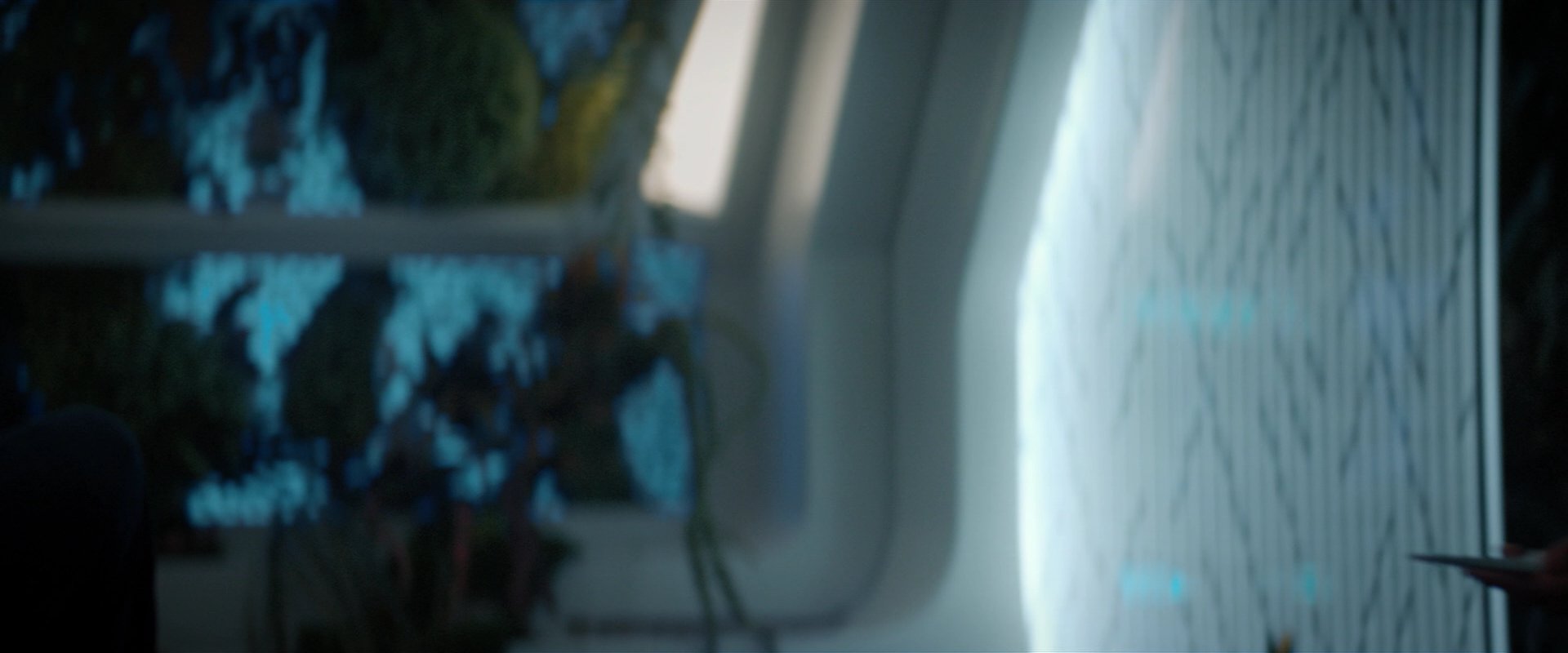 extant_StarTrekDiscovery_2x04-AnObolForCharon_04962.jpg