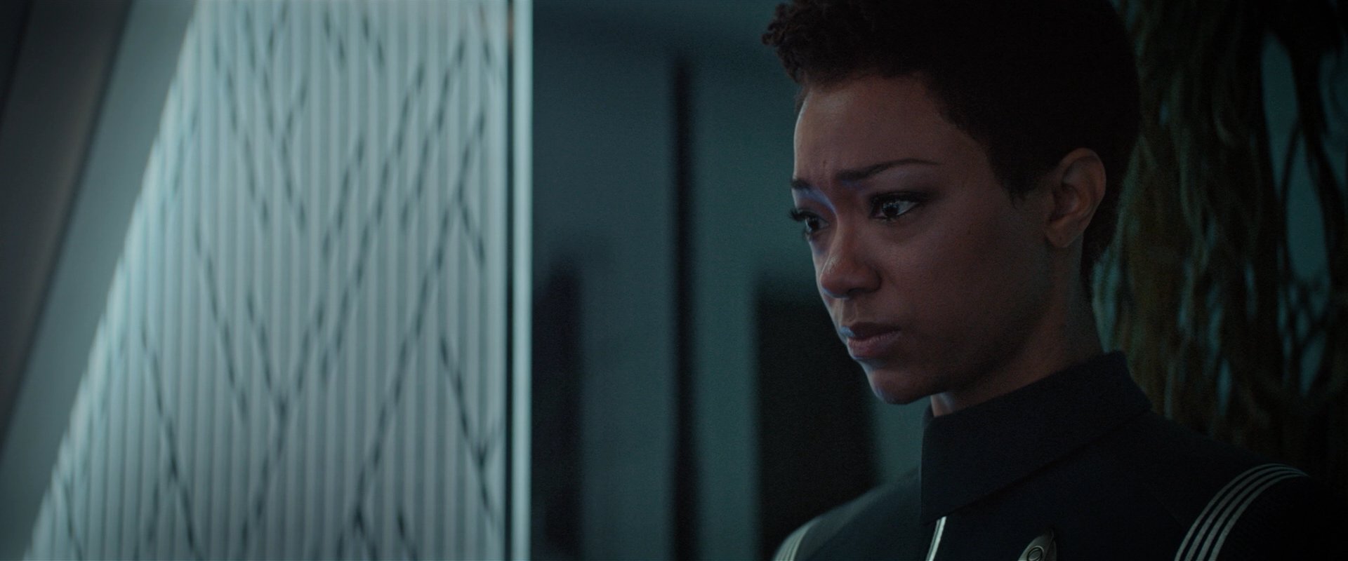 extant_StarTrekDiscovery_2x04-AnObolForCharon_05004.jpg