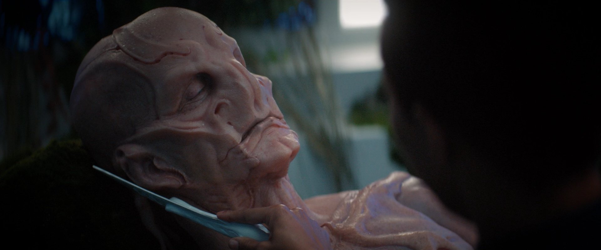 extant_StarTrekDiscovery_2x04-AnObolForCharon_05049.jpg